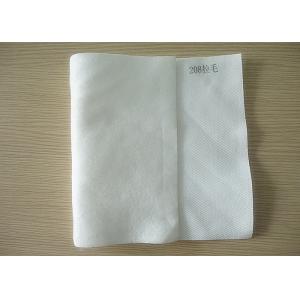 China PE Staple Fiber / Monofilament / Long Thread Polyester Filter Cloth for Centrifuge / Vaccum Filter ISO9001 supplier