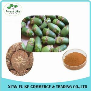 Best Selling Product Free Sample No Additives High Ratio Promote Decrease of Blood  Effect  Areca Nut Extract