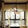 China Smoked glass ceiling pendant lamp fixtures Indoor decoration (WH-GP-26) wholesale