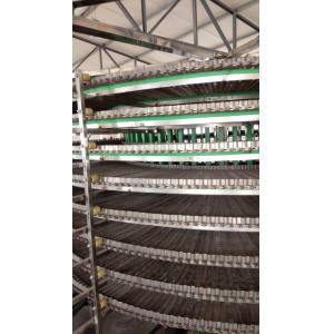 China                  Stainless Steel Conveyor System for Fruit Washing and Drying Machine              supplier