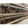 Hot-Dip Galvanized High-Efficiency 4-8 Tier Automatic Layer Cage - Hot Galvanized & Auto Egg Conveyor