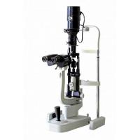 AC 220V /110V Digital Binocular Microscope , Portable Handheld Microscope