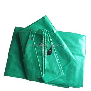 UV Resistant Green PE Tarpaulin for Rain and Sunshine Protection in Coated Pattern