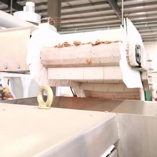 220V Pecan Shelling Machine Capable 100000 Nuts With CE Certifications