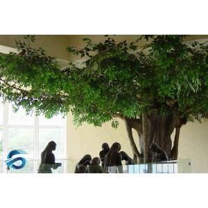China Odorless Decorative Artificial Ficus Tree 2.5 Meter Width Green Color supplier
