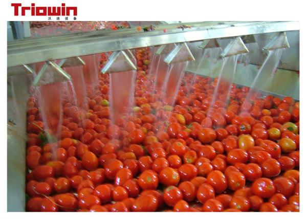 10t / H Tomato Sauce Manufacturing Plant , Tomato Ketchup Making Machine 220V