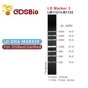 LD Marker 3 DNA Ladder Electrophoresis 60 Preps High Purity Reagents