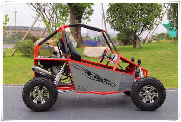 Automatic CVT 300cc 21.46hp Electric Off Road Go Kart 60mile/H With Aluminum Rim