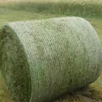China Plastic Nets Hay Bale Net Wrap Silage Tarp Custom Size Silage Film Mulching Plastic Bale Wrap Net on sale
