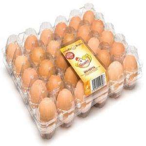 Convenient 8pcs 0.7mm PVC Plastic Egg Carton Transport Egg Incubator Tray