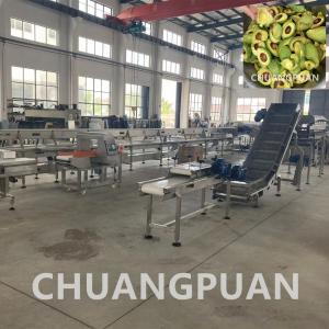 304 stainless steel Customized Avocado Jam Oil Extraction And Making Machine