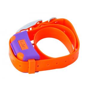 China Bluetooth 4.0 Remote Pet Training Collar Orange With i-Phone Controller supplier