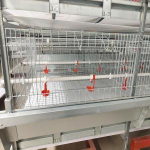 China Poultry Farm Q235 3 - 4Tier Battery Chicken Cage Broiler Breeding Use supplier