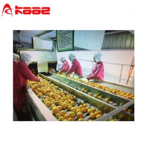 China Ss304 Fruit Sorting Conveyor Roller Fruit Conveyor Sorter 220V 380V supplier