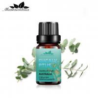 China OEM Eucalyptus Oil Aromatherapy USDA 100% Pure Eucalyptus Essential Oil on sale