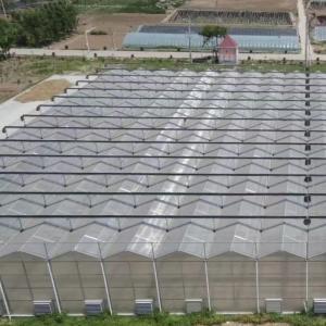 JX-A006 Large Size Venlo PC Polycarbonate Greenhouse for Commercial and Agricultural