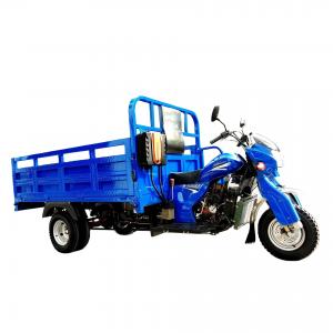 China 800W Foldable Petrol Tricycle for Adults Standard Size Charge Power Mobility Scooter supplier