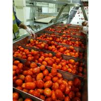 China Linha de processamento linha do tomate SS304 de processamento elevado desempenho da ketchup de 20T/H on sale