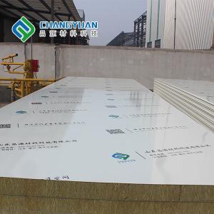 ODM Cleanroom Wall Panel Class A Fireproof Rating insulated wall panels