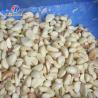 China Garlic splitting machine minced garlic processing production Line wholesale
