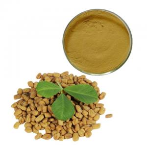 Trigonelline Seed Saponins 10/1 Fenugreek Extract For Hair