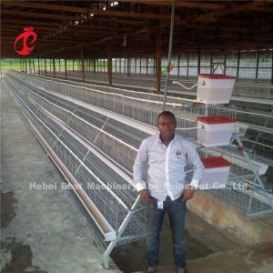 Semi Automatic Poultry Farming Cage System , 380V 1.5KW Egg Layer Cages Ada