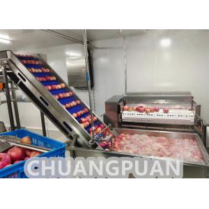China Industrial Turn Key HPP Apple Juice Production Line supplier
