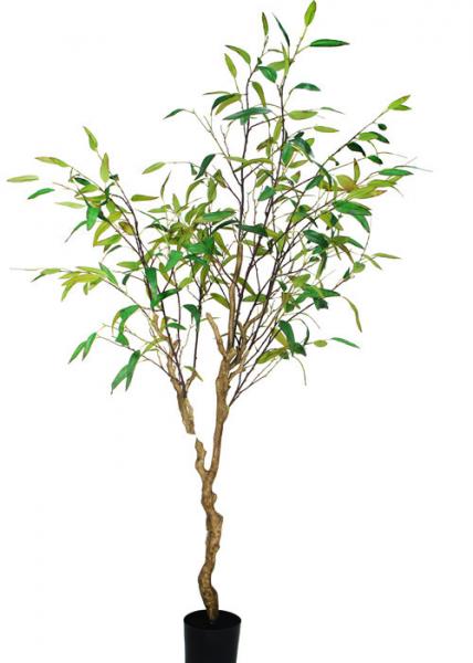 Asethetic Realistic Fake Plants , Beautiful High End Artificial Trees Contempora