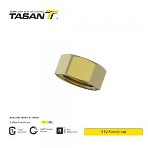 China Air Condition System 1 Inch Brass Fittings Female Cap High Durability supplier