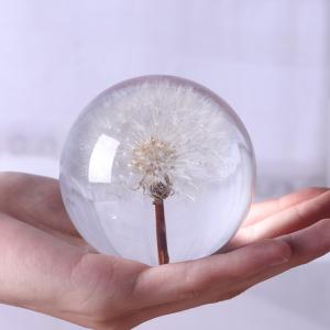 Real dandelion in Clear resin ball flower resin ball ornament