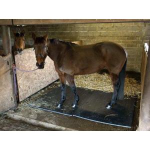 Wear Resistant 17mm Stable Mats High Density Floor Mats For Horse