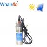 Whaleflo 12Lpm Submersible 12Volt DC Solar Water Pump For Deep Well