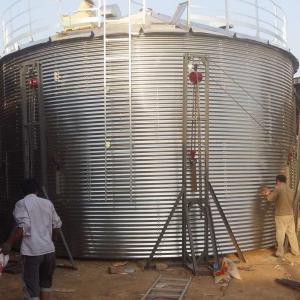 Large Volume Grain Feed Silos For Sale EB20016