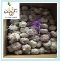 China 2016 New Crop Chinese Garlic /2016 Frozen Garlic/bottled garlic on sale