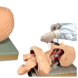 China Stock Comprehensive emergency skills training neonate trachea tubing training model wholesale