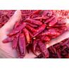 China 20000SHU Dried Chinese Chilis Vacuume Packing Spicy Chaotian / Tianjin Chilli wholesale