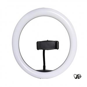 China 10 inch selfie ring light camera photograph lamp with smartphone holder supplier