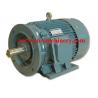 Motorcycle three phase Super High Efficiency AC DC Electric Motor