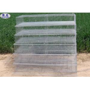 China Metal Quail Breeding Cages 15 Years Lifetime with 3 Years Warranty supplier
