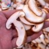 China 銀の果物と野菜加工ライン 2025年に先進加工 wholesale