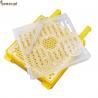 China Plastic Queen Rearing System Queen Breeding Tool Kit Beekeeping Tools For Queen Bee wholesale