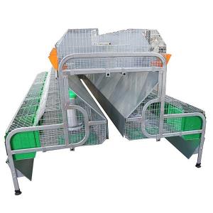 Breeder 240 * 200 * 150cm Rabbit Cage , Rigid Wire Rabbit Cage With Tray