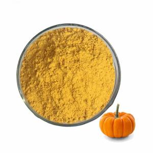 China Healthy Foods Dehydrated Dried Pumpkin Powder With ISO Certification supplier