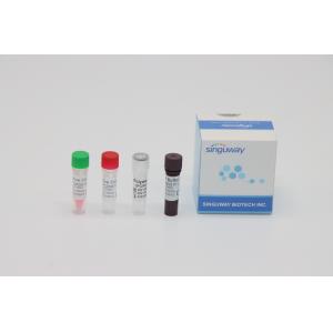 China CMV Virus RT PCR Test Kit Real Time Nucleic Acid Testing ISO13485 supplier