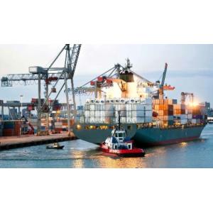 China Servicio superior de la declaración de aduanas, China a los servicios del despacho de aduana de los E.E.U.U. supplier