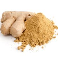 China Air Dried Dehydrated Ginger Extract Powder 100 - 120 Mesh on sale