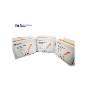 China Sheep Testosterone Accurate Quantitative Detection Enzyme Linked Immunosorbent Assay Kit supplier