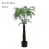 China Home Decoration Artificial Fern Tree Single Stem Evergreen Non Toxic Lush Look wholesale