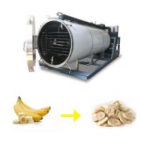 China 100KG Banana Pitaya Slice Freeze Drying Equipment Commercial Fruit Lyophilizer SGS on sale