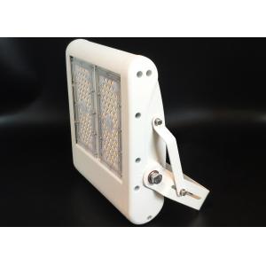 White Housing IP67 LED Flood Light Industrial 100W High Power Tunnel Light